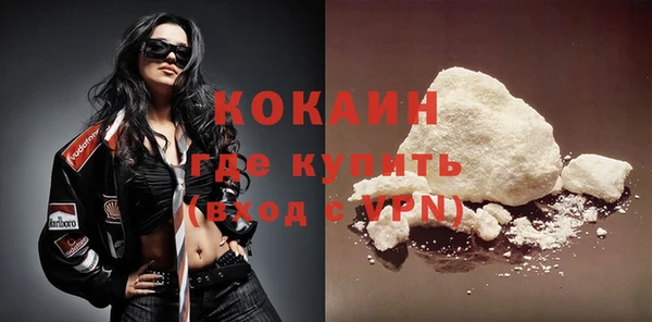 ГАЛЛЮЦИНОГЕННЫЕ ГРИБЫ Богданович