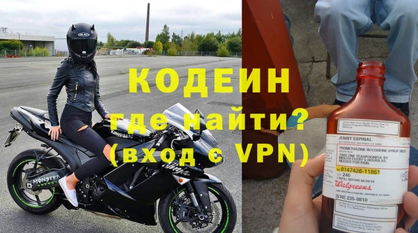 ГАЛЛЮЦИНОГЕННЫЕ ГРИБЫ Богданович