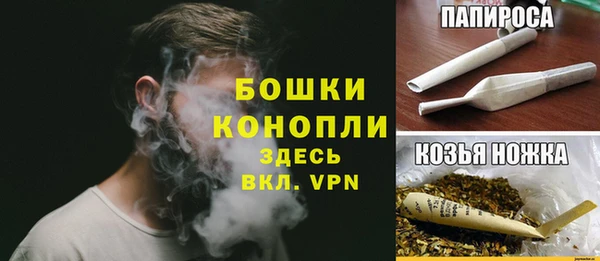 ГАЛЛЮЦИНОГЕННЫЕ ГРИБЫ Богданович