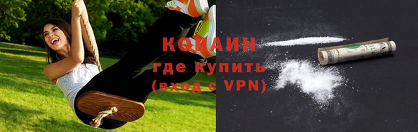 ГАЛЛЮЦИНОГЕННЫЕ ГРИБЫ Богданович