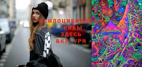 МДПВ Богородицк