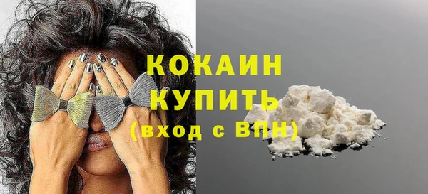 ГАЛЛЮЦИНОГЕННЫЕ ГРИБЫ Богданович