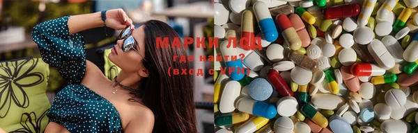 ГАЛЛЮЦИНОГЕННЫЕ ГРИБЫ Богданович