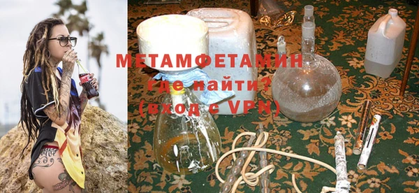 ГАЛЛЮЦИНОГЕННЫЕ ГРИБЫ Богданович