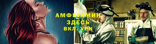 ГАЛЛЮЦИНОГЕННЫЕ ГРИБЫ Богданович