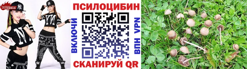 Псилоцибиновые грибы Psilocybine cubensis  Козловка 